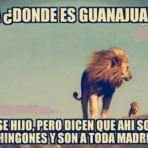 Meet your Posher, Hernandez